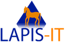 Lapis IT BV heeft enkele specifieke oplossingen voor de automotive branche